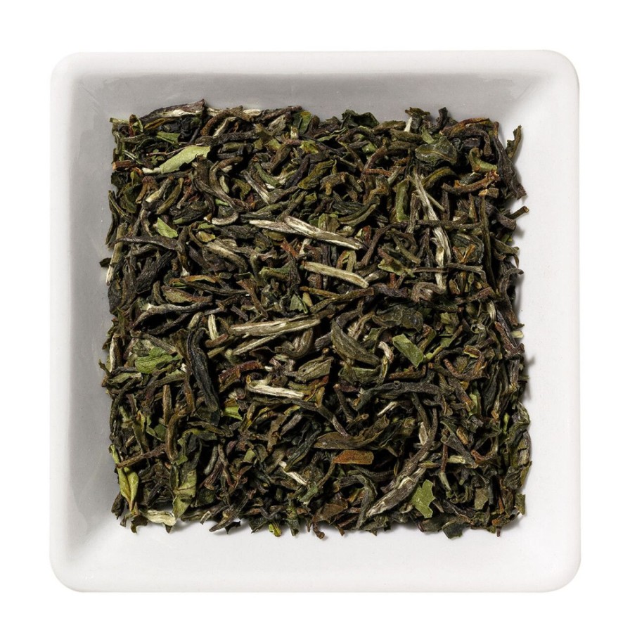 Wollenhaupt Schwarzer Tee | Darjeeling Ftgfop1 First Flush Glenburn, 2,5 Kg Kiste